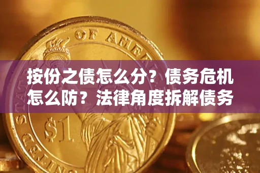武汉按份之债怎么分？债务危机怎么防？法律角度拆解债务分配与风险自保指南