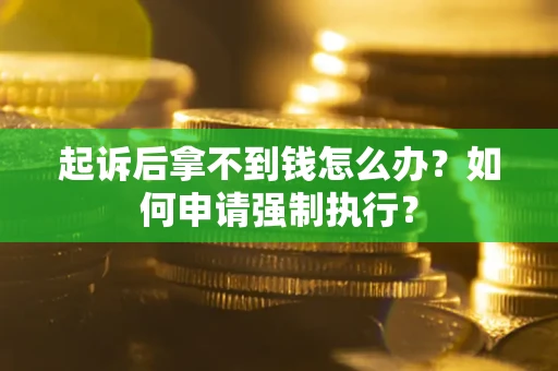 武汉起诉后拿不到钱怎么办？如何申请强制执行？