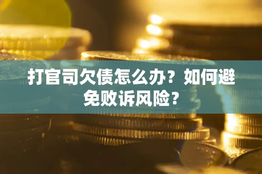 武汉打官司欠债怎么办？如何避免败诉风险？