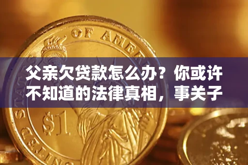 武汉父亲欠贷款怎么办？你或许不知道的法律真相，事关子女未来