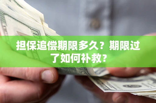 武汉担保追偿期限多久？期限过了如何补救？