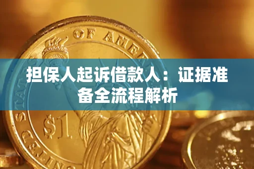 武汉担保人起诉借款人：证据准备全流程解析