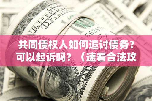 武汉共同债权人如何追讨债务？可以起诉吗？（速看合法攻略）