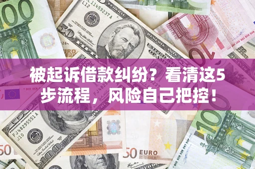 武汉被起诉借款纠纷？看清这5步流程，风险自己把控！